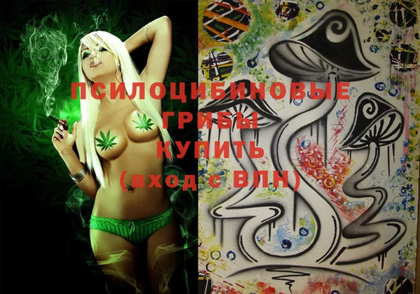 МДПВ Щёлкино