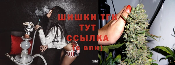 МДПВ Щёлкино